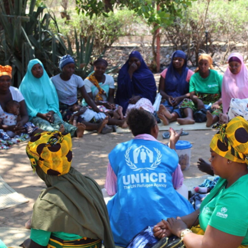 Livelihood Support